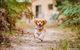 Countrywide Cottages - thumb 0