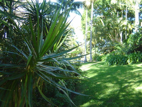 Sensom Luxury Bed & Breakfast - Accommodation Whitsundays 2