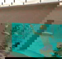 Novotel Brisbane Airport - Accommodation Whitsundays