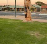 Lake Albert Motel - Accommodation Whitsundays