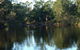 Rickaty On Blackwood - thumb 5