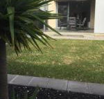 Ella House Adelaide - Accommodation Whitsundays