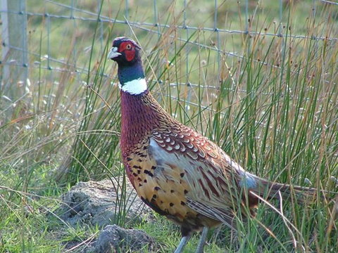 Baudins Accommodation - Accommodation Whitsundays 6