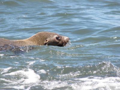 Baudins Accommodation - Accommodation Whitsundays 5
