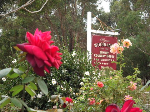 Woodlands Of Bridgetown B & B - Accommodation Whitsundays 5