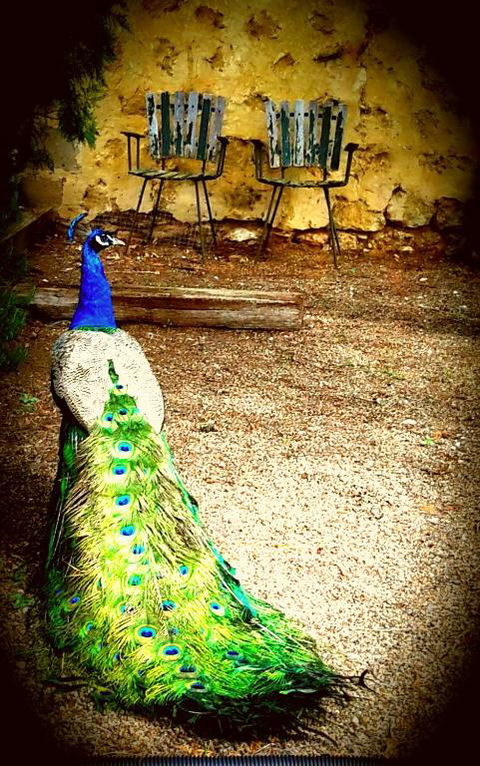 A La Folly - Accommodation Whitsundays 4