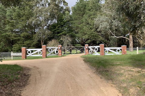 Helen's Homestead - Accommodation Whitsundays 7