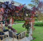 The Cottage - Accommodation Whitsundays