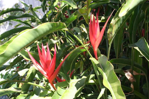 Scarborough Beach Break Holidays - Accommodation Whitsundays 2