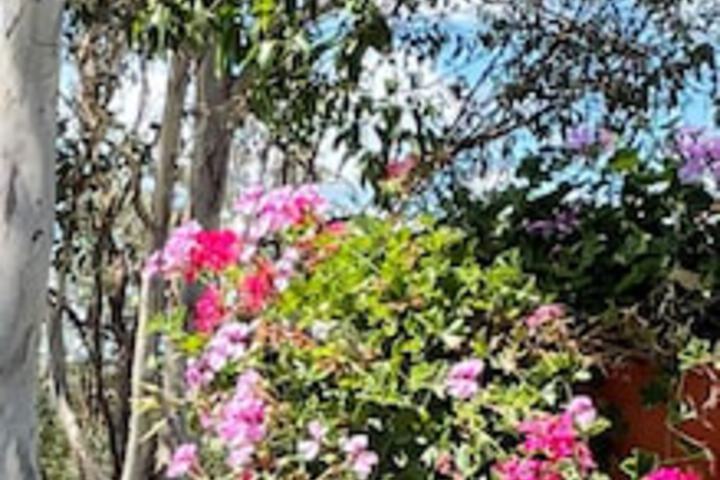 Anduramba QLD Accommodation Whitsundays
