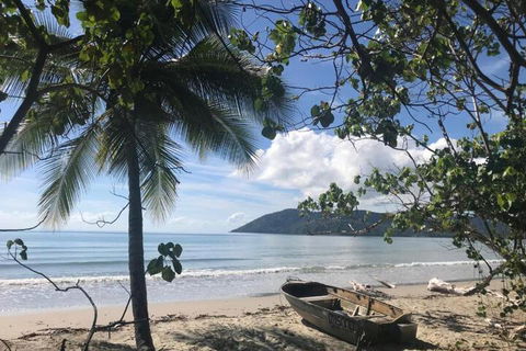 Daintree Rainforest Beach House - Accommodation Whitsundays 4