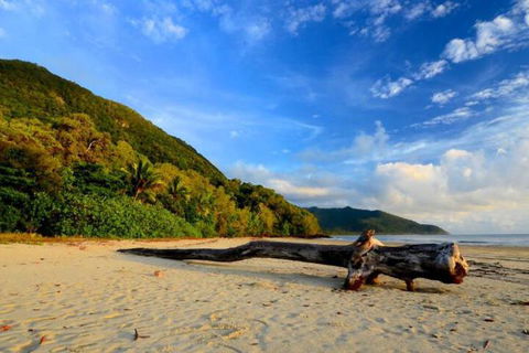 Daintree Rainforest Beach House - Accommodation Whitsundays 7