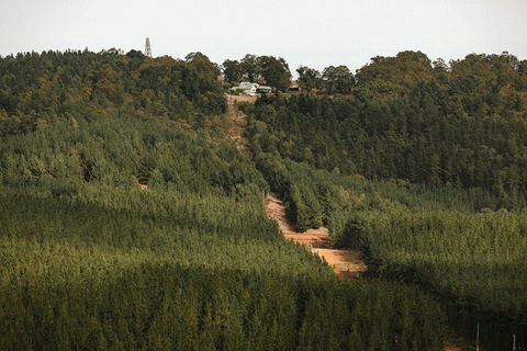 Nannup Hideaway - Accommodation Whitsundays 4
