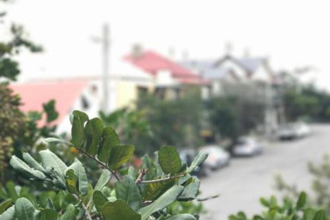 Zaara - Accommodation Whitsundays 4