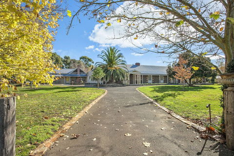 Orchards At Spring Vale Farm - Accommodation Whitsundays 2