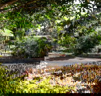 Country Comfort Bundaberg - Accommodation Whitsundays