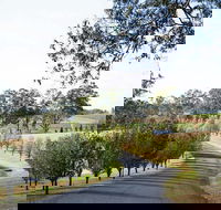 voco Kirkton Park Hunter Valley  an IHG Hotel - Accommodation Whitsundays