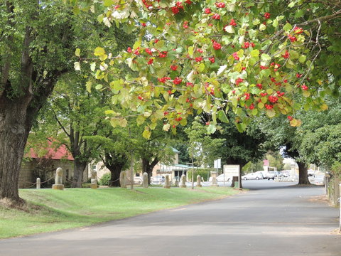 Ross Motel - Accommodation Whitsundays 5