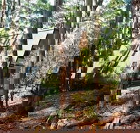 Green Leaves Cabin - Accommodation Whitsundays