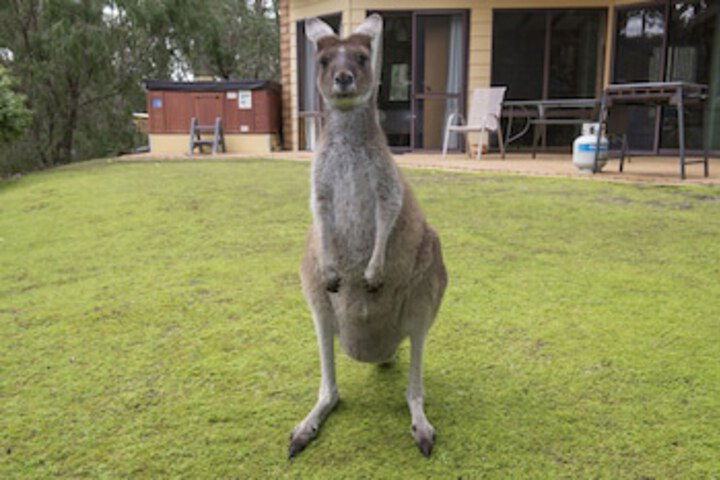 Metricup WA Accommodation Whitsundays