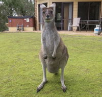 Yelverton Brook Conservation Sanctuary - Accommodation Whitsundays