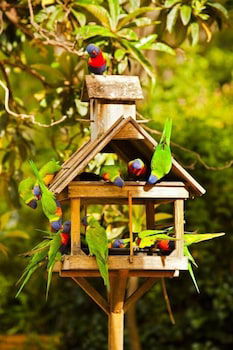 Crystal Brook Tourist Park - Accommodation Whitsundays 0