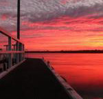 Fairy Wren Cottage Country to Coast Retreat - Accommodation Whitsundays