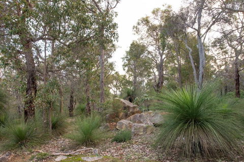 A Hidden Bush Delight - Accommodation Whitsundays 6