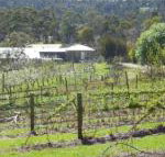 Eureka Farm - Accommodation Whitsundays