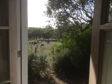 Aashay B & B - Accommodation Whitsundays 3