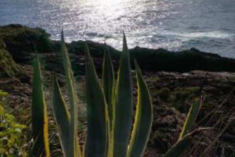 Ven & Marks Place - Accommodation Whitsundays 0