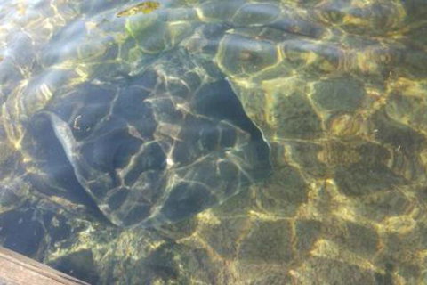 Ven & Marks Place - Accommodation Whitsundays 4