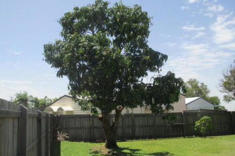 Fishermans Cottage Hervey Bay - Accommodation Whitsundays 2