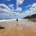 Arena Luxury Beachfront Apartment - Accommodation Whitsundays 0