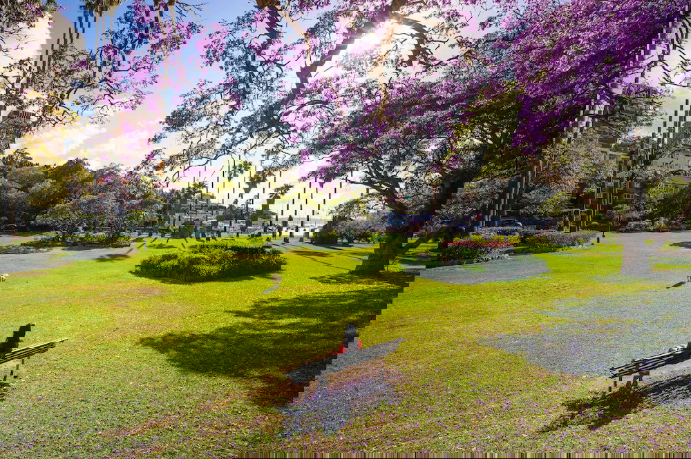 Arcadia NSW Accommodation Whitsundays