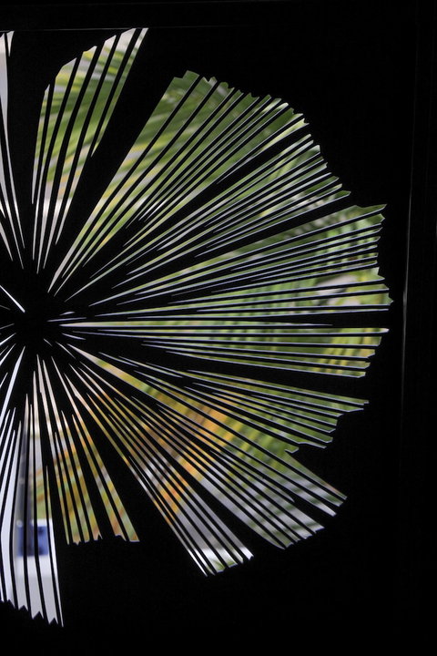 Valle Vista Luxury Apartments - Accommodation Whitsundays 2