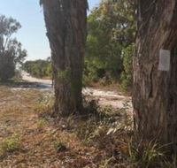COONARR BEACH  BUNDABERG CAMPING - Accommodation Whitsundays
