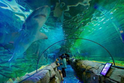 A Modern & Cozy Studio Next To Darling Harbour - Accommodation Whitsundays 6