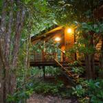 Wildwood - Accommodation Whitsundays 0