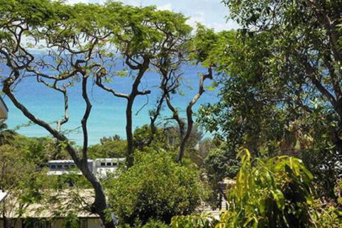 At Cylinder Unit 3 - Accommodation Whitsundays 6