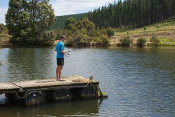 Nannup Valley Chalets - Accommodation Whitsundays 1