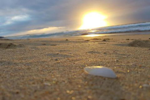 Eagles Loft - Accommodation Whitsundays 6