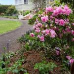 Anabels Of Scottsdale - Accommodation Whitsundays 0