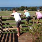 Beachend Bicheno - Accommodation Whitsundays 0