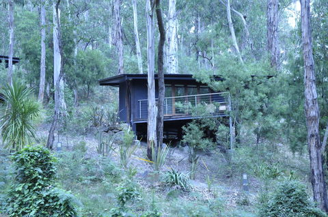 Qdos Arts - Accommodation Whitsundays 6