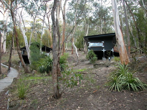 Qdos Arts - Accommodation Whitsundays 2