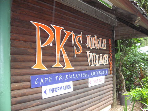 PKs Jungle Village - Hostel - Accommodation Whitsundays 0