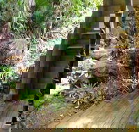 Rainforest Hideaway - Accommodation Whitsundays