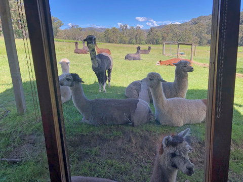 Valley Farm Vineyard Cottages - Accommodation Whitsundays 2