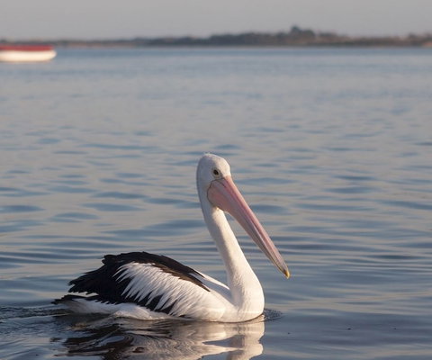 Oak Tree Lodge - Accommodation Whitsundays 1
